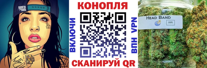 Где купить наркотики Новодвинск Каннабис  Меф мяу мяу  Alpha-PVP  АМФЕТАМИН  ГАШ 