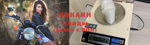 сатива Горнозаводск