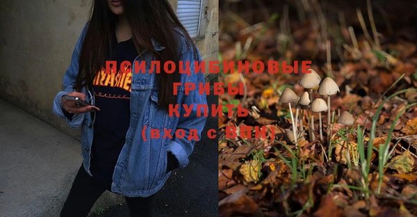 бошки Балахна
