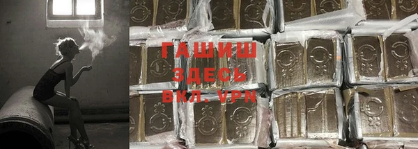 стаф Баксан
