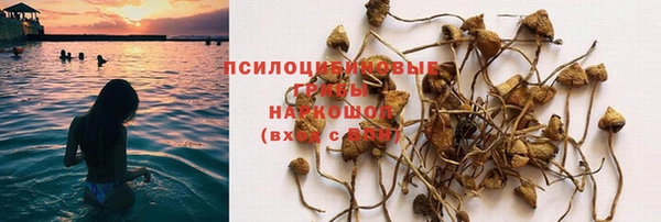 бошки Балахна