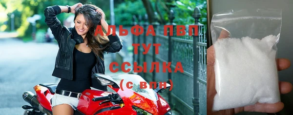 стаф Баксан